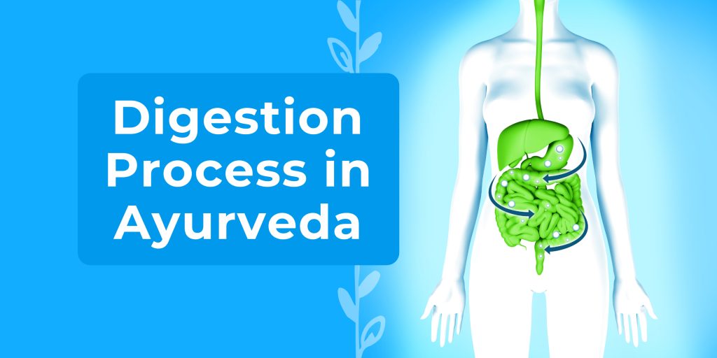 How To Understand The Digestion Process In Ayurveda